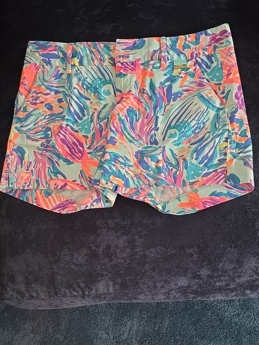 Lilly Pulitzer Multicolor Tropical Brushstroke Shorts